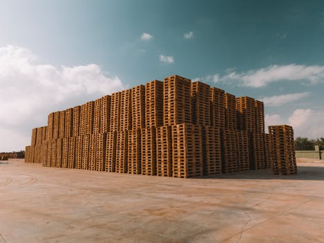 Beyond the Basics: Architecting Unbreachable Digital Vaults for Your Business